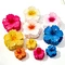 Hair Claw for Daily Hair Styling